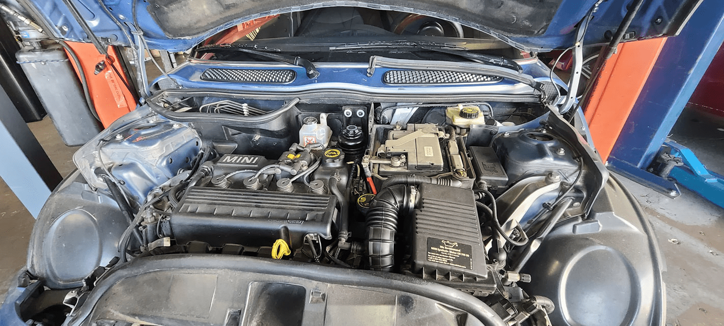 Primary Banner